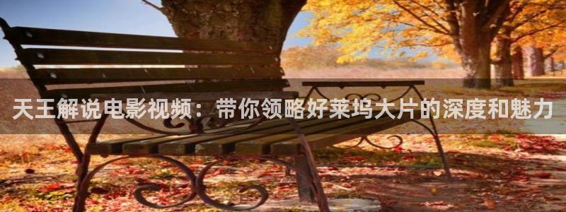 午夜伦理高清：天王解说电影视频：带你领略好莱坞大片的深度和魅力