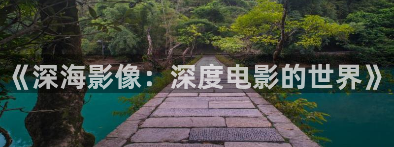 神马午夜伦理在线：《深海影像：深度电影的世界》