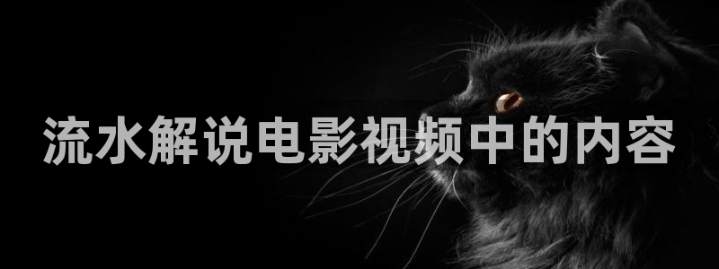 国产午夜精品在线观看：流水解说电影视频中的内容