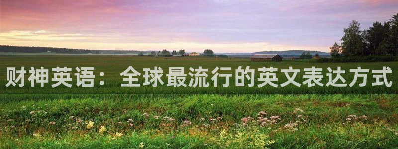 秋霞成人午夜在线：财神英语：全球最流行的英文表达方式