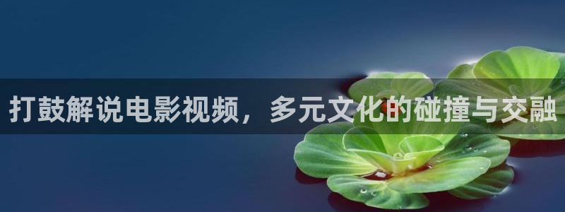 午夜论理片