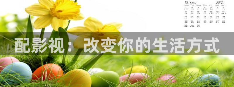 午夜窝窝免费电影