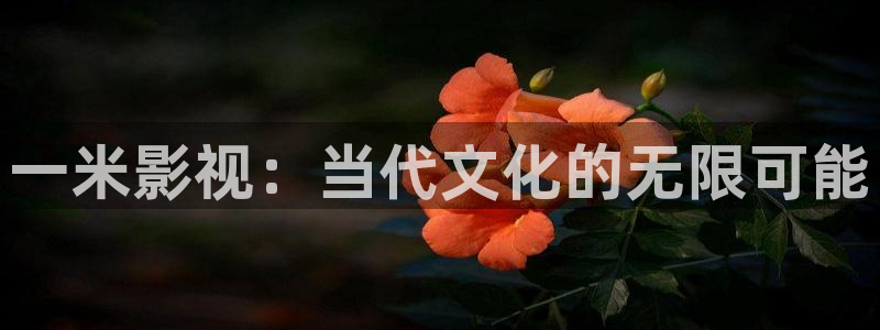 mm1314午夜免费视频