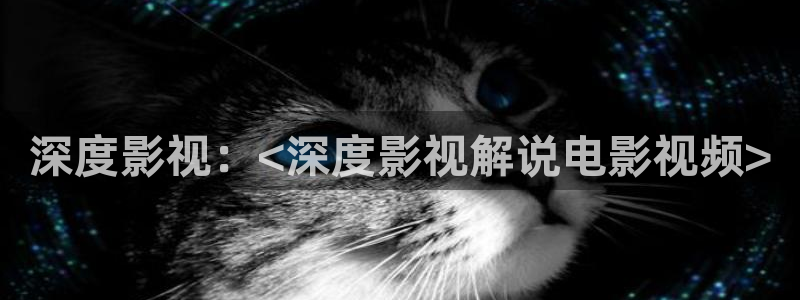 日本午夜影视