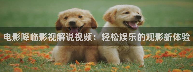午夜蜜桃av精品影