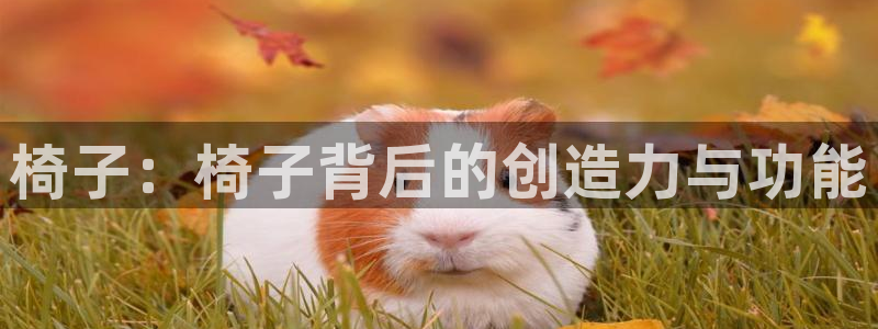午夜伦理高清
