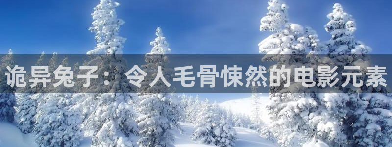 男人午夜免费观看