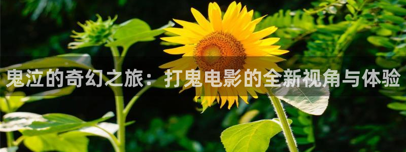 免费在线午夜电影院